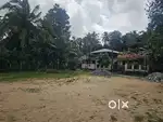 മാവേലിക്കര കണ്ടിയൂരിൽ ഹൗസ് പ്ലോട്ടുകൾ ടാർ റോഡ് സൈഡിൽ വില്പനക്ക്