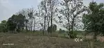 Agriculture land or Industry land for sale