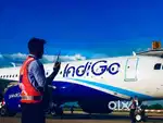 URGENTLY JOB VACANCY IN AIRPORT GROUND STAFF/CABIN CREW APPLY NOW