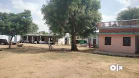 241 square yard plot for sale in nimkathana on kotputali road near thar honda showroom road 10500 pe...