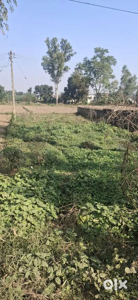 Plot four seal arjant seal plotev24 by 70 ft