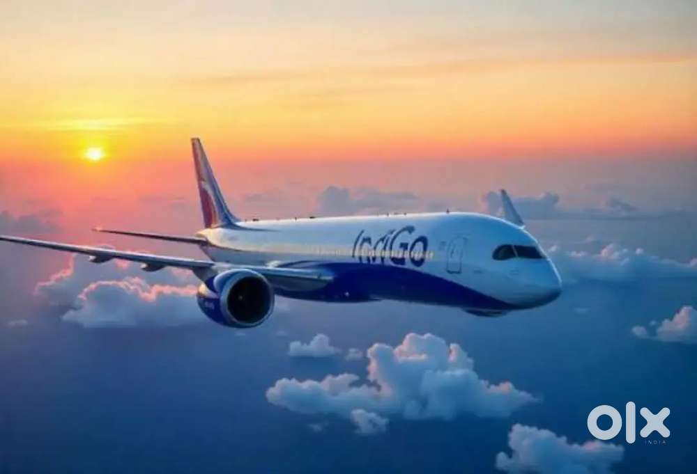 Indigo Airlines jobs /Vacancy for Airport Ground staf / Driver / Crew