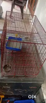 Cat and small dog cage