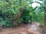 10 cent property for sale in thottakara