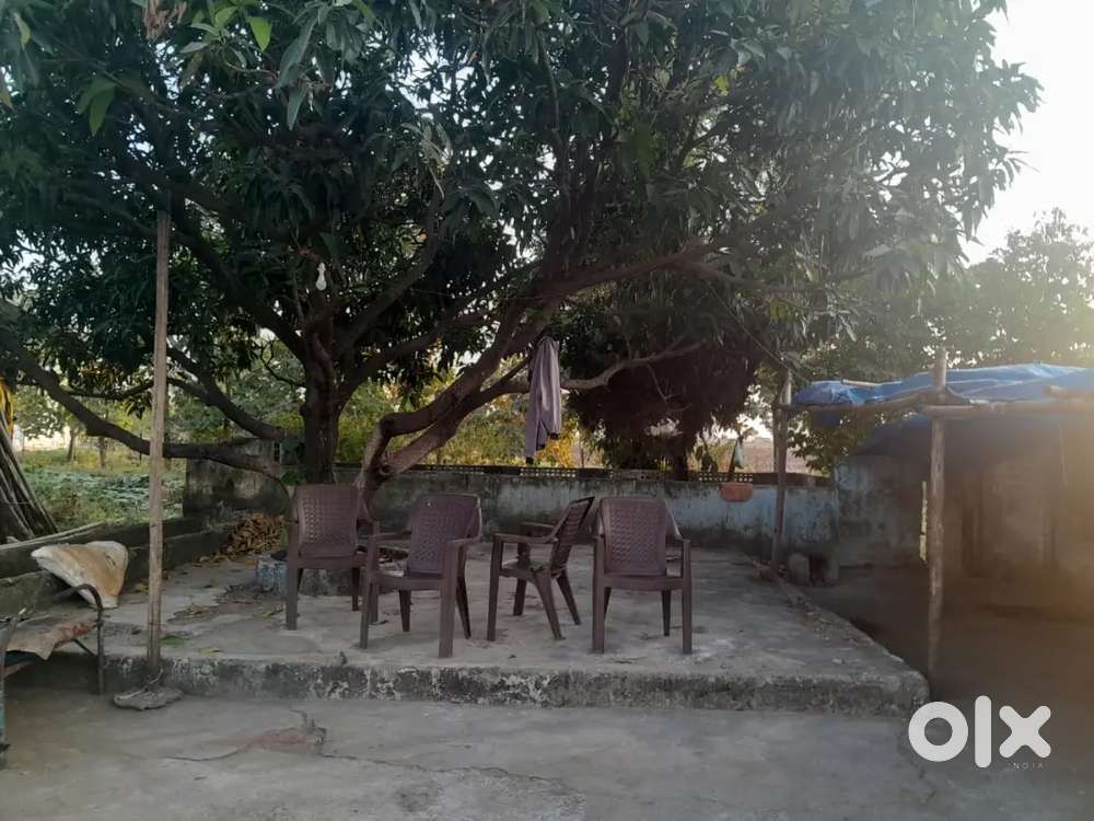 NEW DAIRY FARM PROJECT