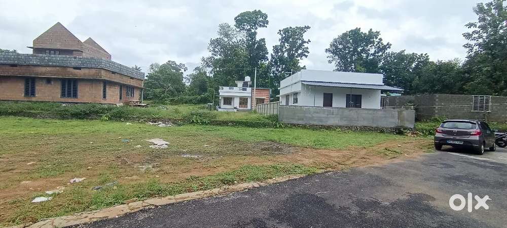 ANGAMALY NEAR BY 4,5,6,8, 10 CENT PLOTS AVAILABLE