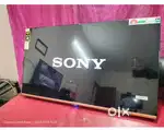 55” Sony Today price 28000