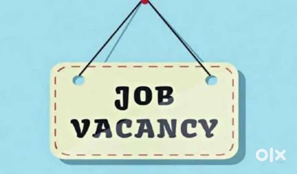 Join Bank Job vacancies open in your location branch apply now