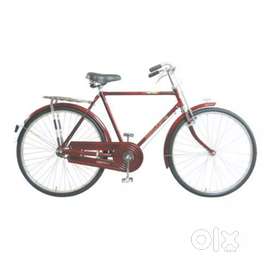 Neelam Bicycle