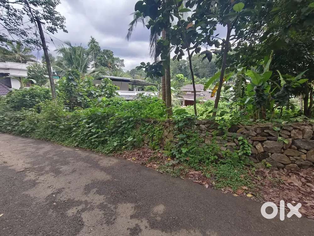 Kanjirapally 20 cent house plot.1.90 .lakh.