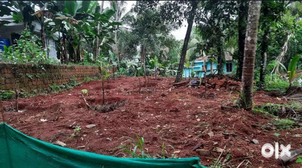 വളാഞ്ചേരി കുലമംഗലം ബാവപ്പാടിയിൽ  സമീപം 9 സെന്റ് സ്ഥലം വിൽക്കാനുണ്ട്