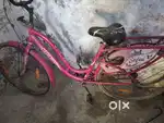 Lady Bird cycle