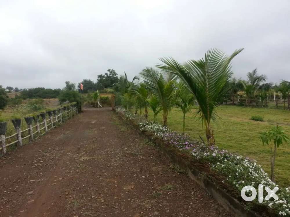 Open Farm land on Rent. Clear Title 7 acre land for rent