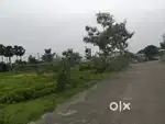 Open plots