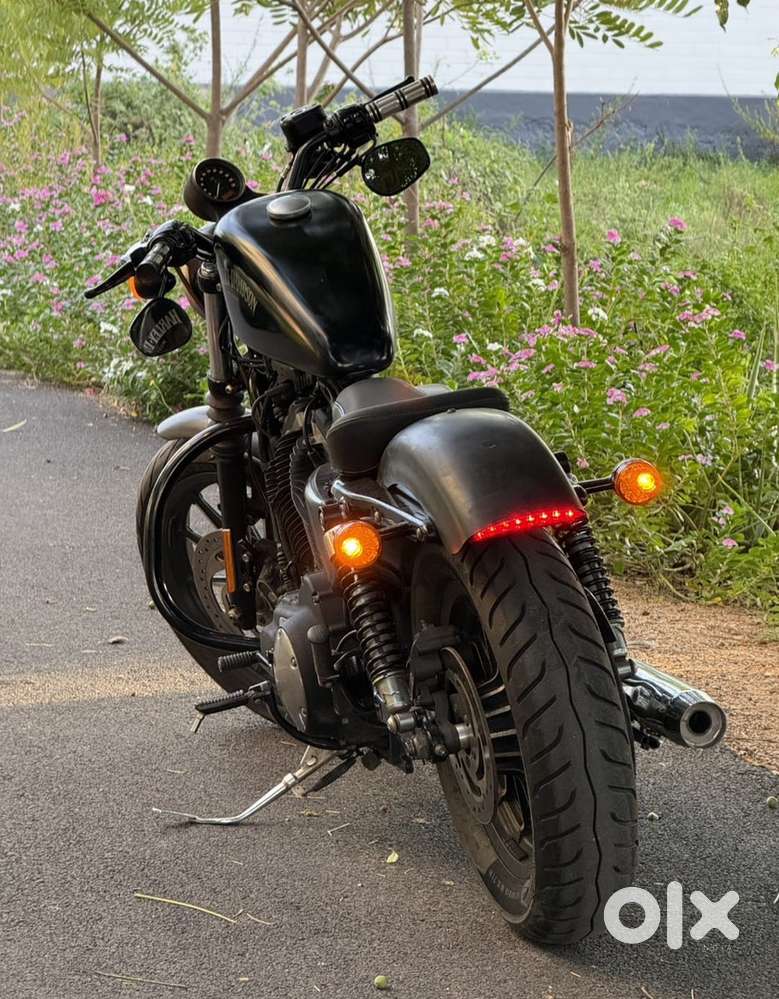 Harley davidson iron 883 for sale