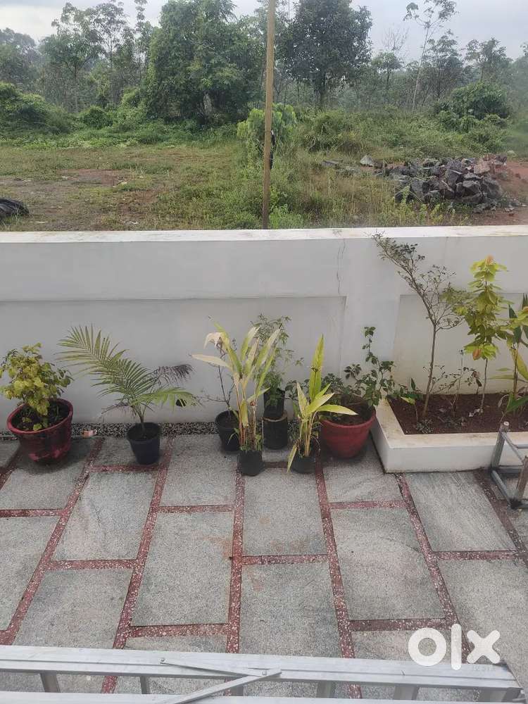 11 cents of land in a gated colony