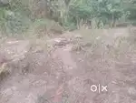 40cent plot near JANAKSHEMAMAM MARARIKULAM ALAPPUZHA