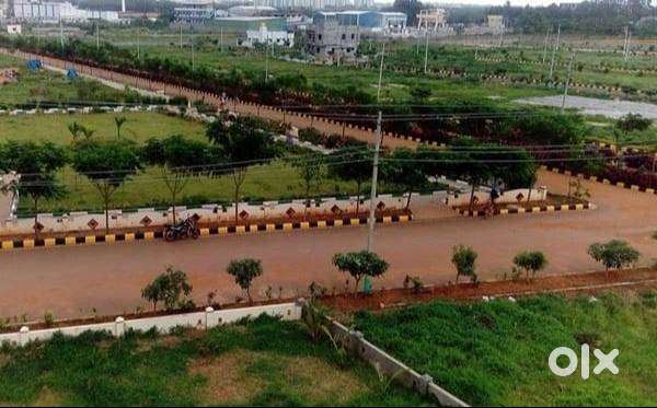 PLOTS FOR IMMEDIATE REGISTRATION