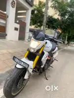 Benelli 300 TNT