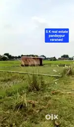 पचराव जाल्हूपुर
