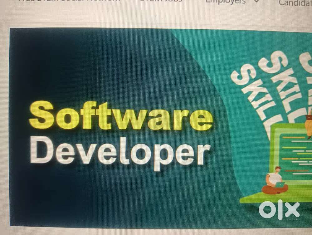 Software developer