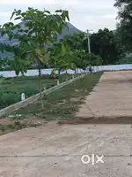 54ank eadt face tuda Approval plot for sale in thondawada BirlaSchool