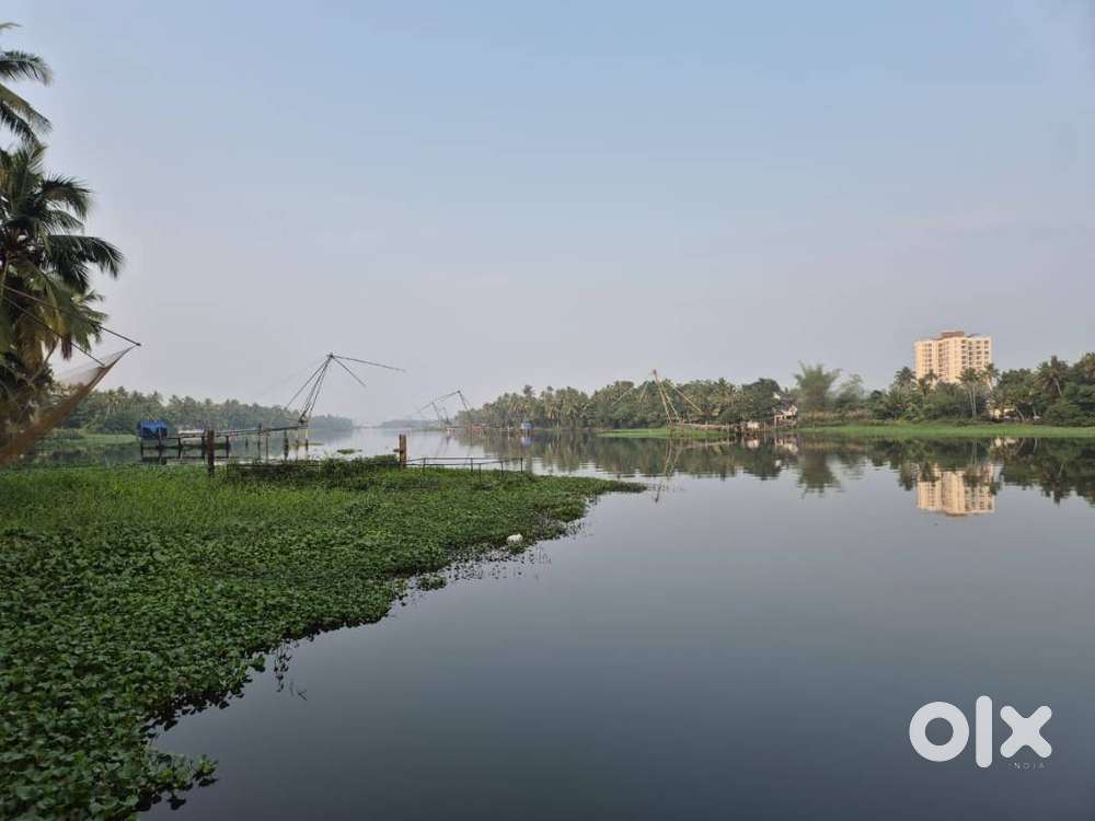 2.90 Acre Water Frontage Land for Sale – Kothad, Near Aster Medcity