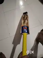 kashmiri willow Bat C-AT bat wooden bat