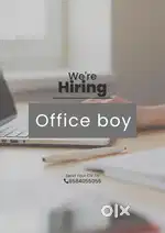Need office boy for interior office