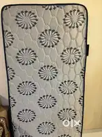 Kurl on mattress