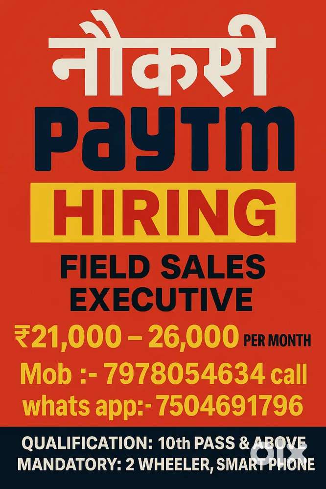 Sales executive or senior fse