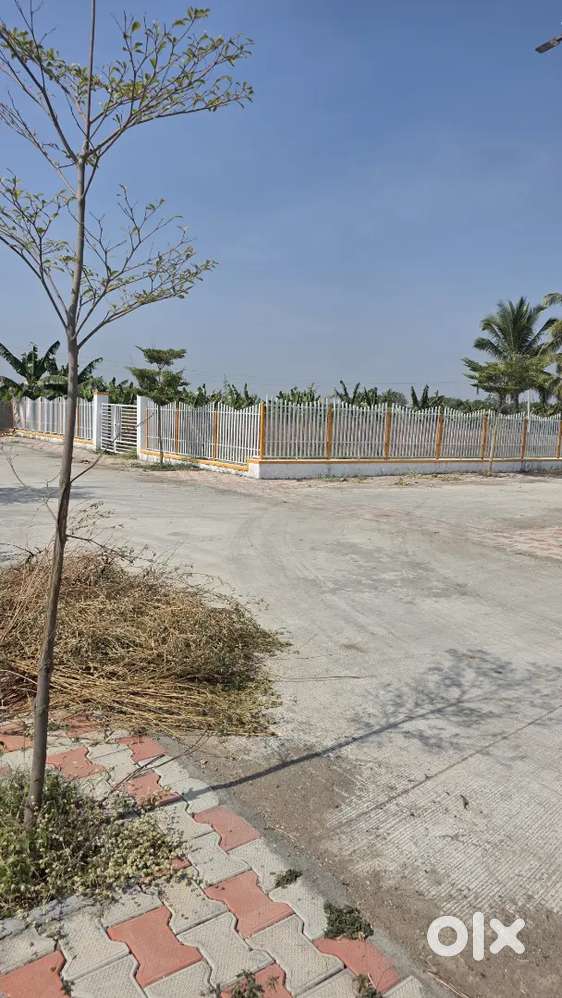 Fully Developed N.A plot At Rajkumar Layout