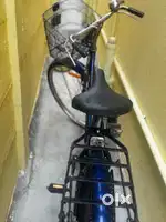 Bicycle with carrier