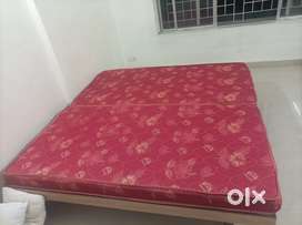 2 3x6 bed mattress for sale.