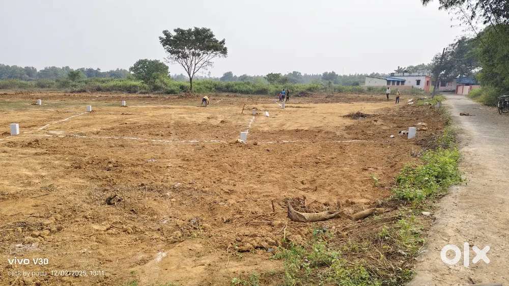 ରେଭିନିୟୁ ରୋଡ କୁ ଲାଗି କି ଘର ଉପଯୋଗୀ ପ୍ଲଟ ମିଳୁଛି