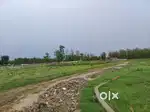 Dharatal  green Pvt Ltd