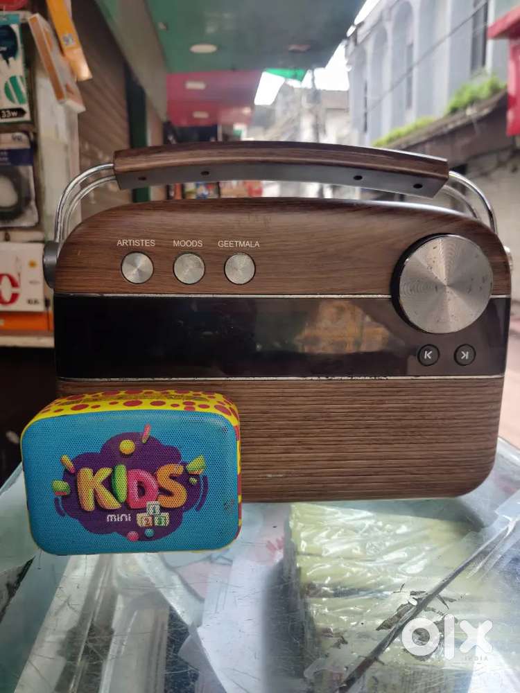 Saregama Carvaan Hindi - Portable Music Player with 5000 Preload
