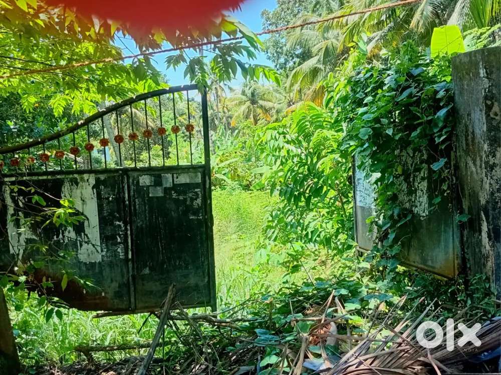 6 Cent Plot For Sale Near Kovalam Junction.