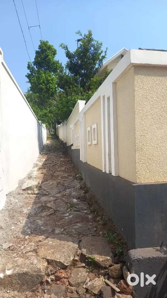 20 cent plain plot for sale