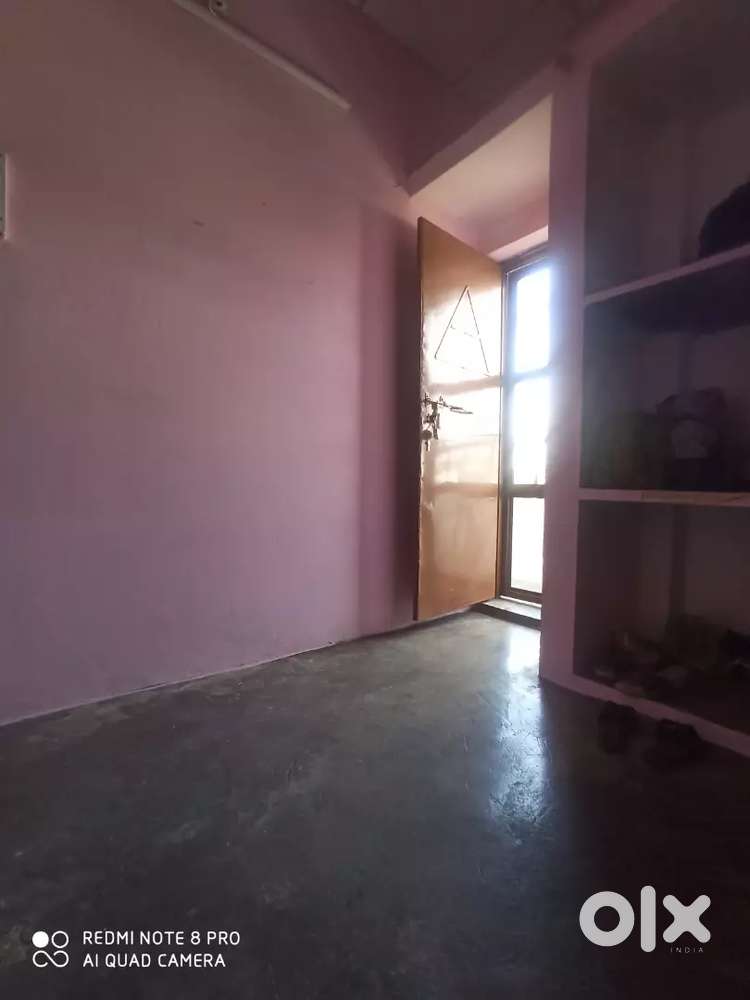 Need girl room partner