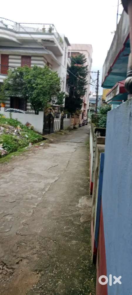 Only female working and students