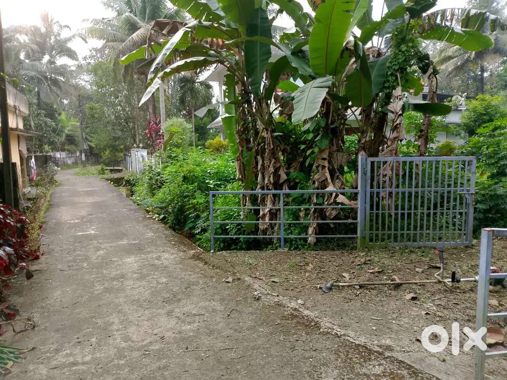 16 cent plot FOR SALE