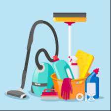 OFFICE BOY requirement