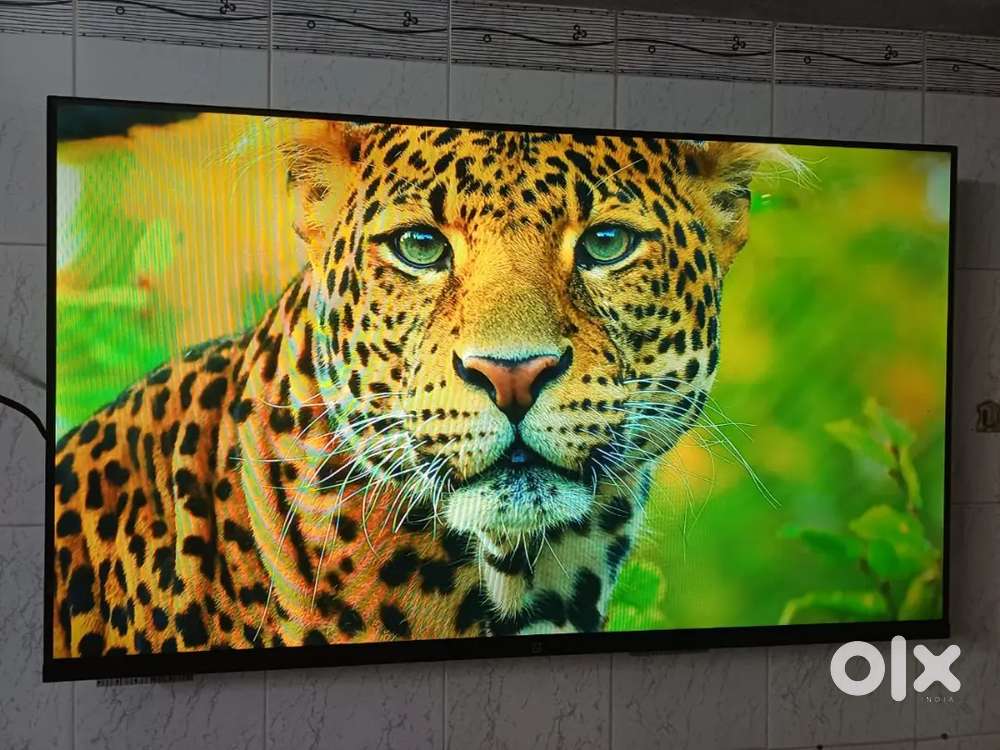Oneplus 43 inch android frameless voice remote led tv