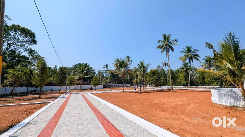 Ashtamichira–Mala 4 TO 10 Cent Residential Plots  90% Loan  Free Reg
