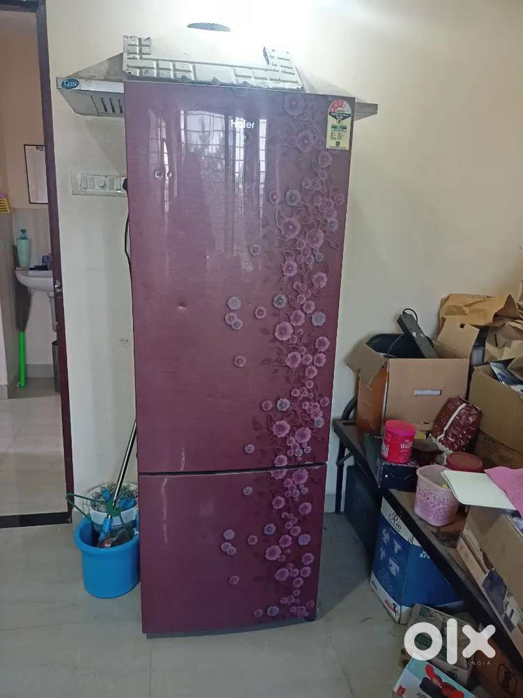 Double door refrigerator