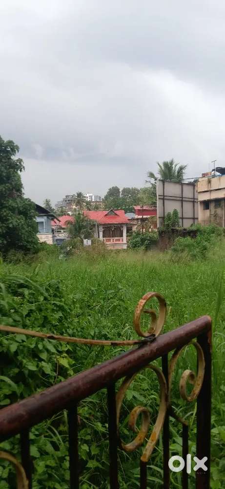 25 സെൻറ് വില്പനയ്ക്ക് മെയിൻ റോഡ് സൈഡ്