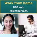 Best working opportunity