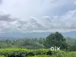 Resort/Holiday house land for sale@Wayanad