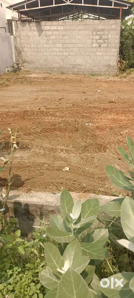 Grand vista side no.73